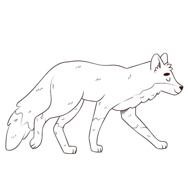 Hand drawn fox outline illustration