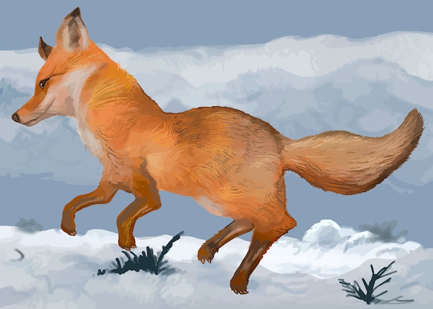 Free Vector hand drawn fox