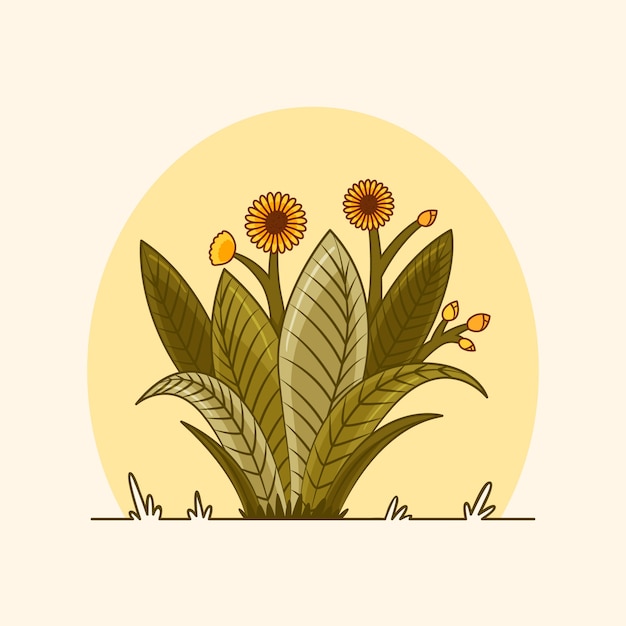 Hand drawn frailejon plant illustration