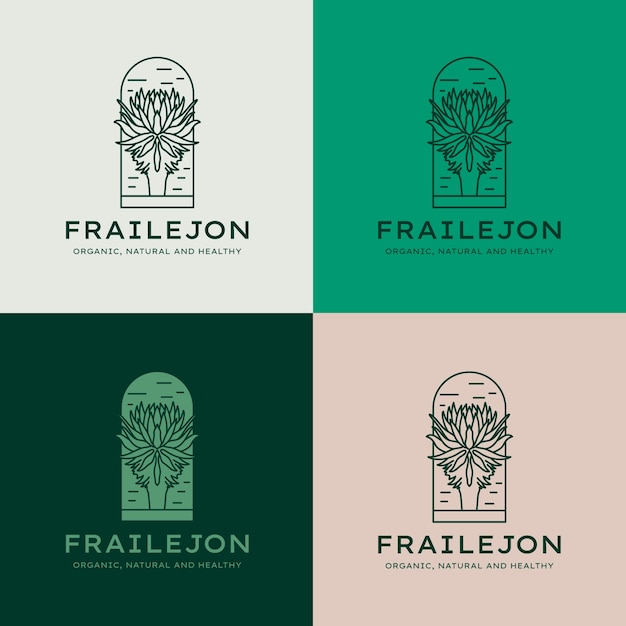 Hand drawn frailejon plant logo design