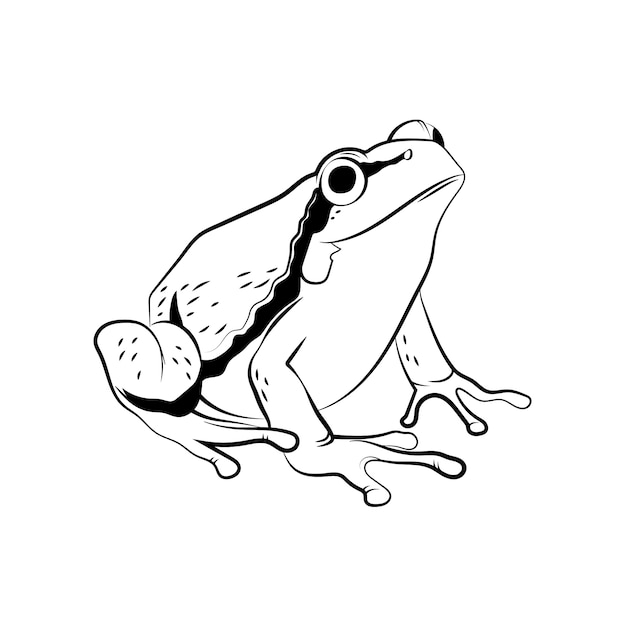 Free Vector hand drawn frog outline illustration