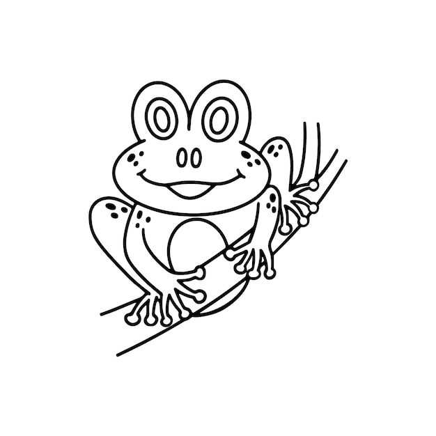 Hand drawn frog outline illustration