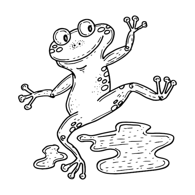 Hand drawn frog outline illustration