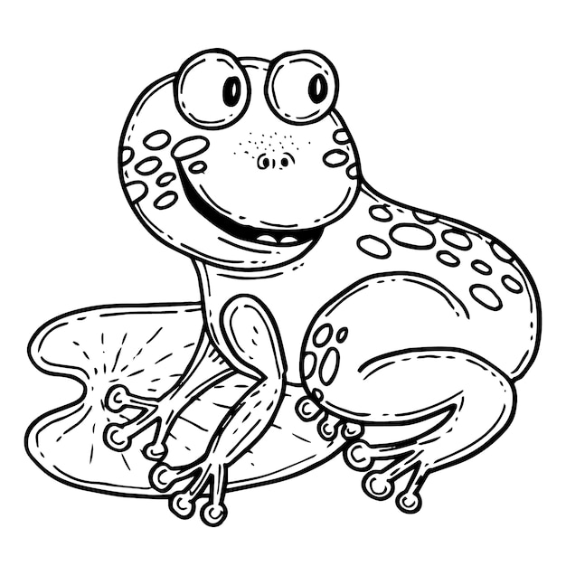 Hand drawn frog outline illustration