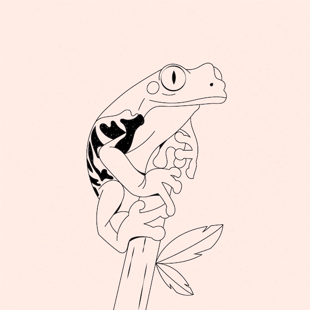 Free Vector hand drawn frog outline illustration