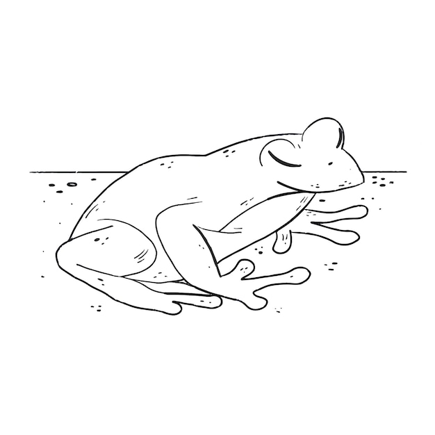 Free vector hand drawn frog outline illustration