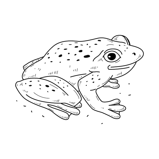 Free Vector hand drawn frog outline illustration