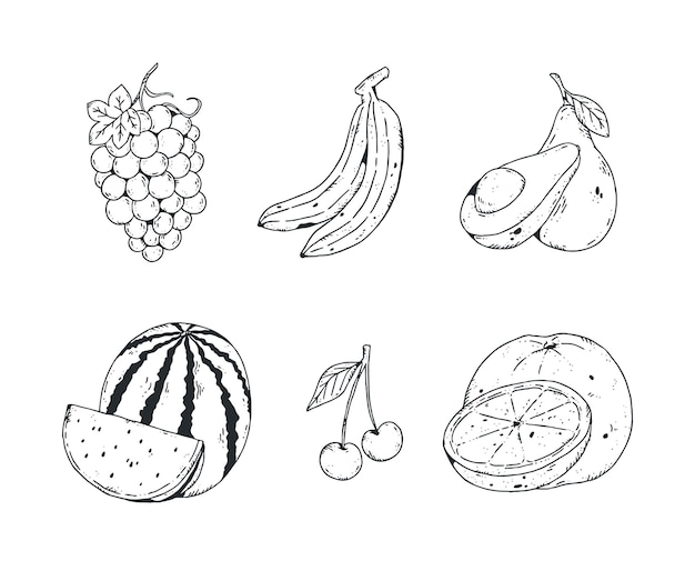 Hand drawn fruit collection