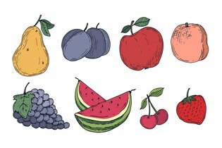 fruits drawings