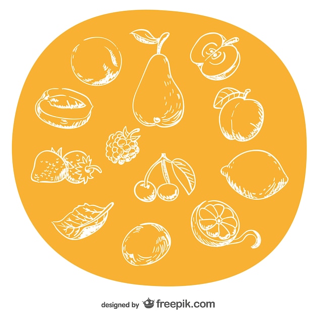 Free Vector hand-drawn fruits set