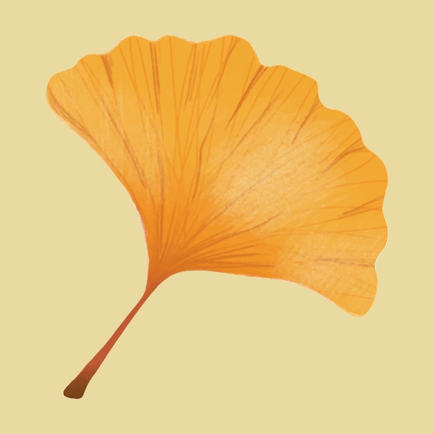 Free Vector hand drawn ginkgo element vector autumn leaf