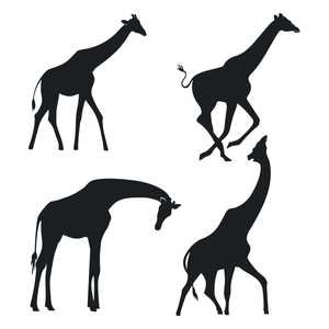 Free Vector hand drawn giraffe silhouette