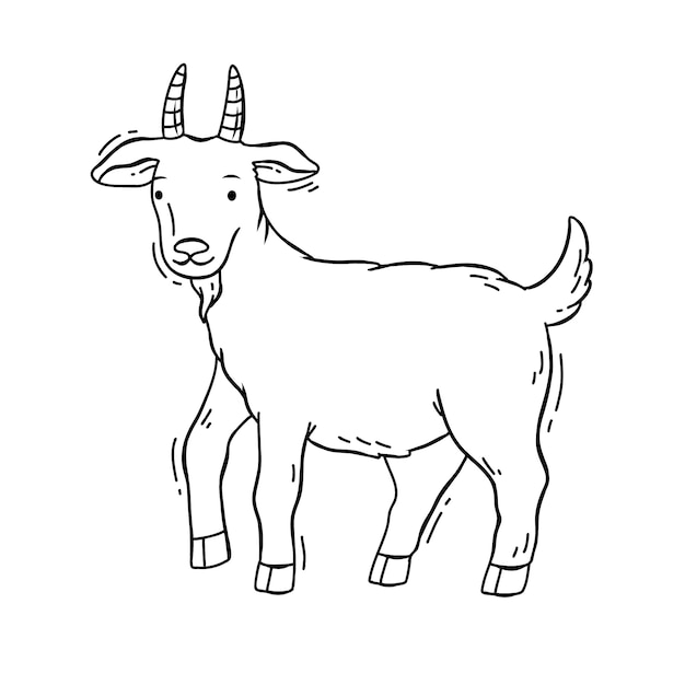 Free Vector hand drawn goat  outline illustration