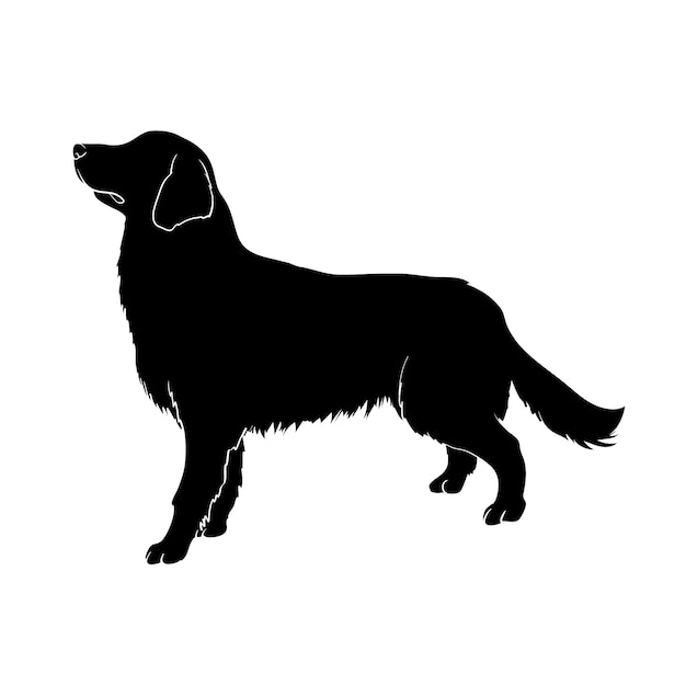 Free Vector hand drawn golden retriever silhouette