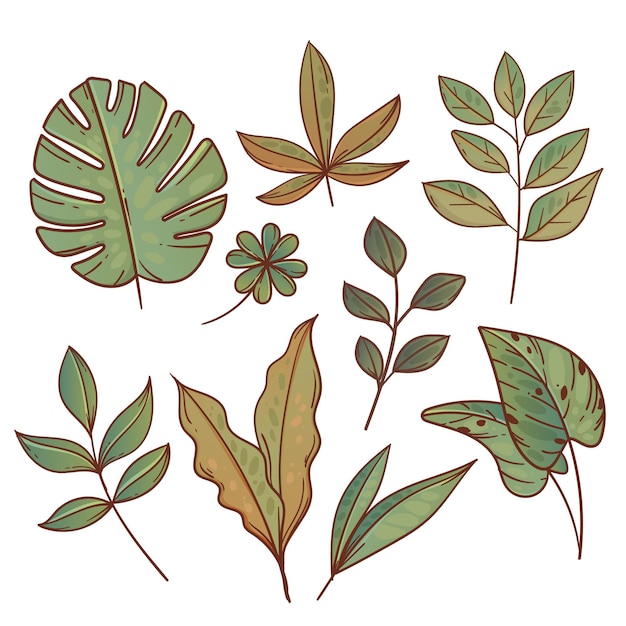 Hand drawn green exotic leaves collection