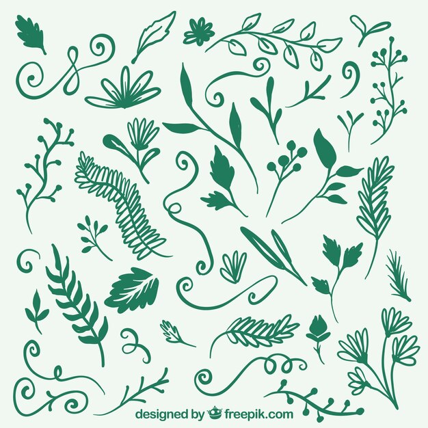 Hand drawn green plant decoration