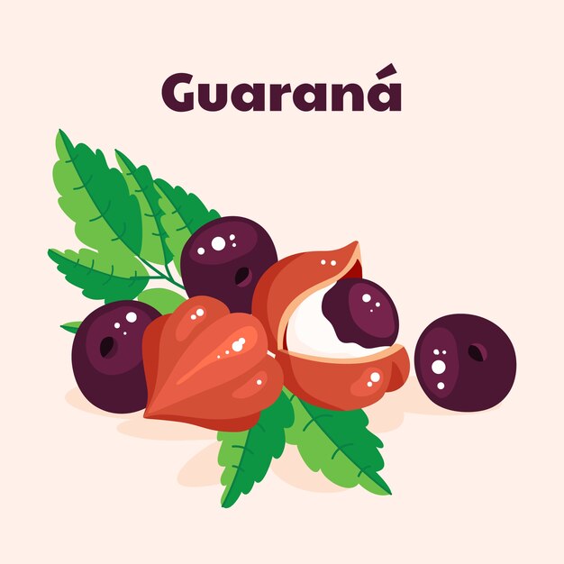 Free Vector hand drawn guarana fruit illustration