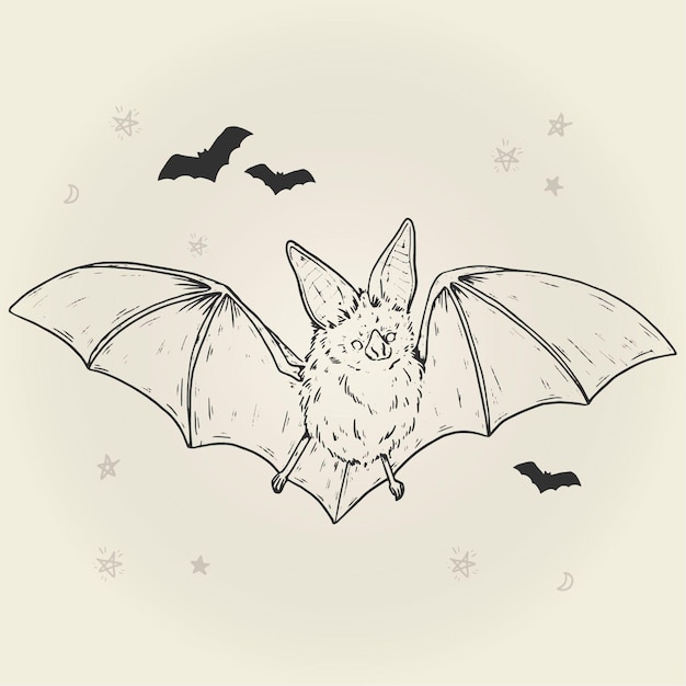 Free Vector hand drawn halloween bat