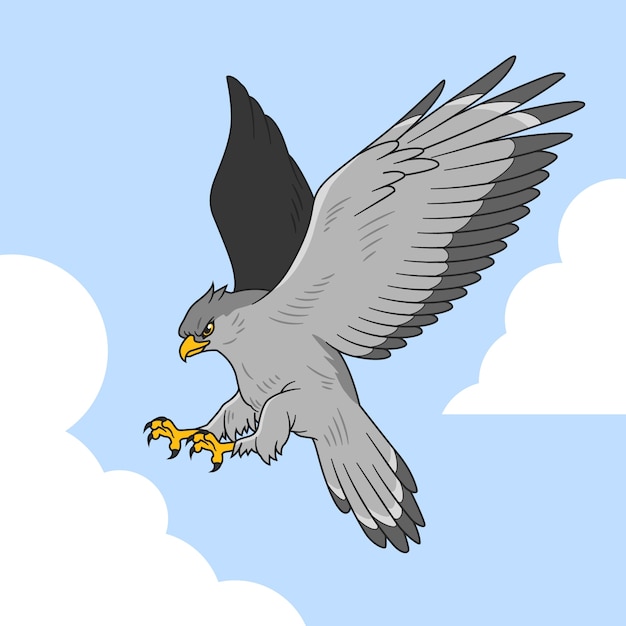 Hand drawn hawk cartoon illustration