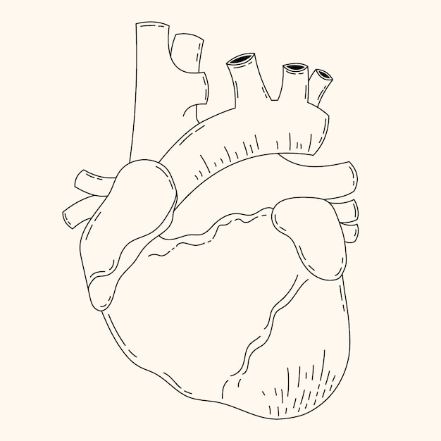 Hand drawn heart drawing illustration