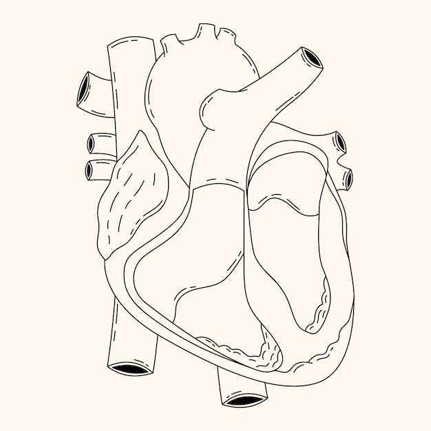 Free Vector hand drawn heart drawing illustration