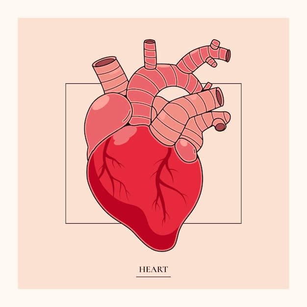 Free Vector hand drawn heart drawing illustration