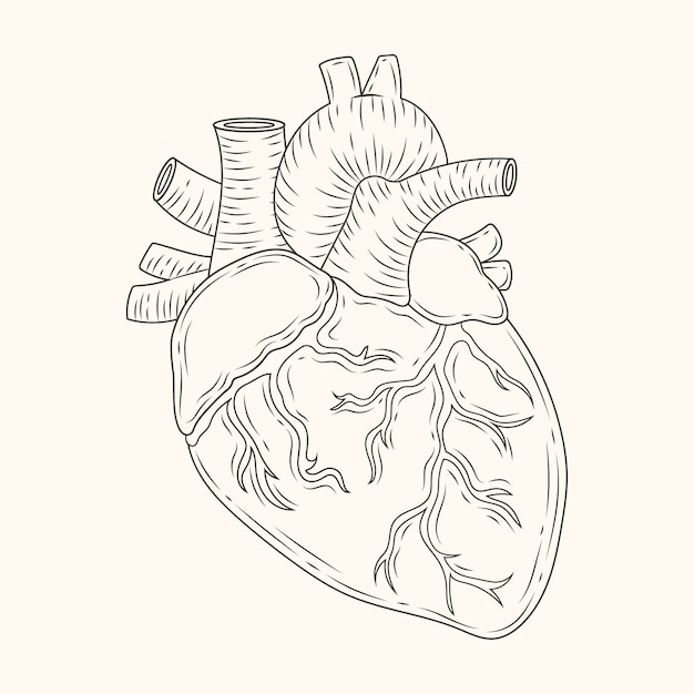 Free Vector hand drawn heart drawing illustration