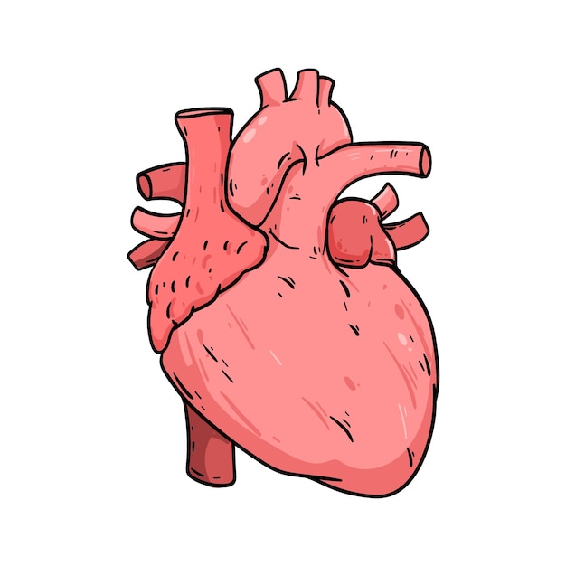 Free Vector hand drawn heart drawing illustration