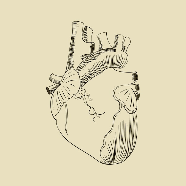 Free Vector hand drawn heart drawing illustration