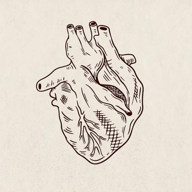 Hand drawn heart drawing illustration