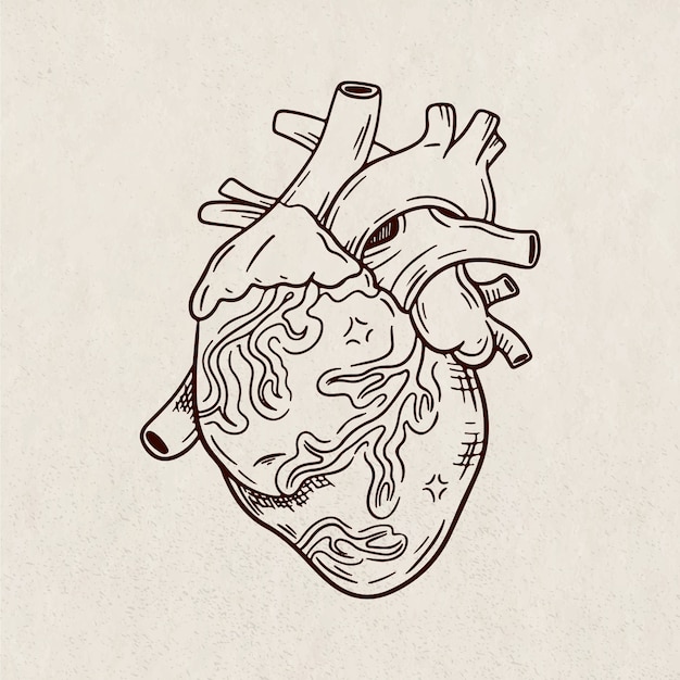 Free Vector hand drawn heart drawing illustration