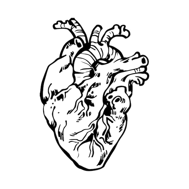 Hand drawn heart drawing illustration