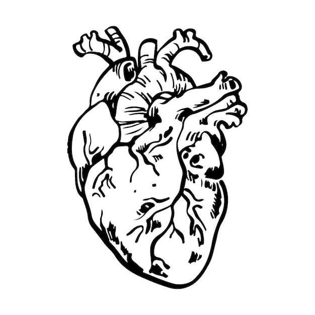 Hand drawn heart drawing illustration