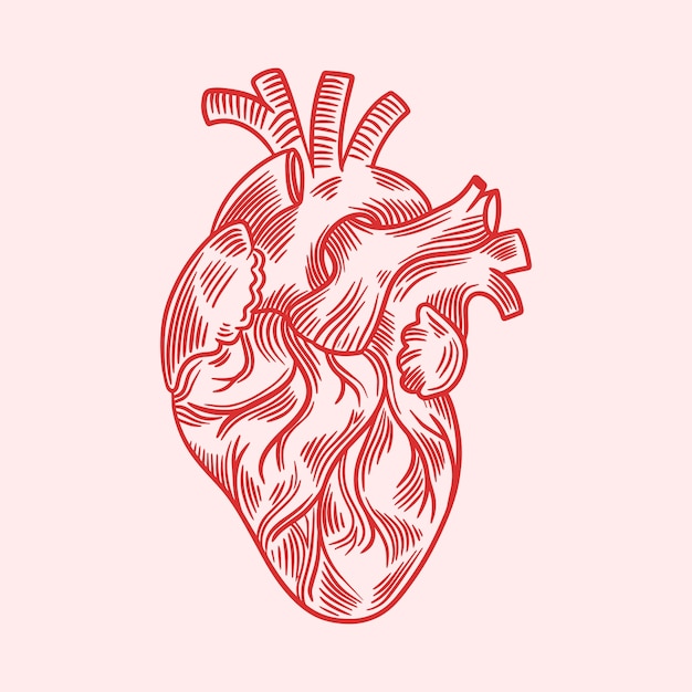 Free vector hand drawn heart drawing illustration