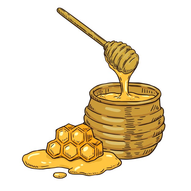 Hand drawn honey jar drawing illustration