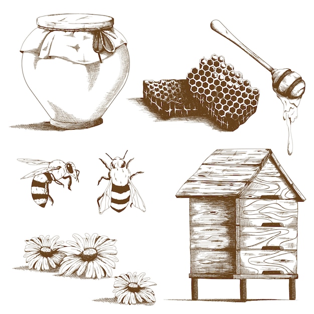 Hand drawn honey sketch elements