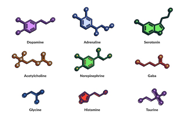 Free Vector hand drawn hormones elements collection