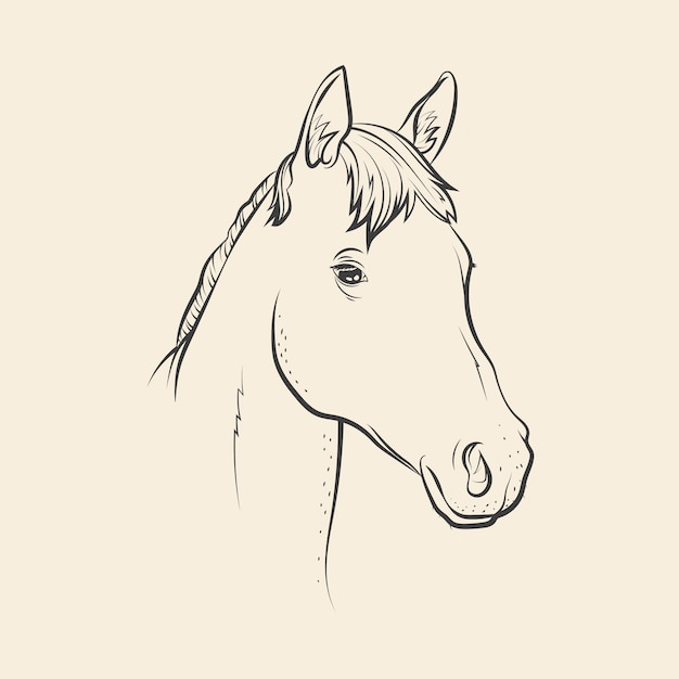 Free vector hand drawn horse head drawing illustration