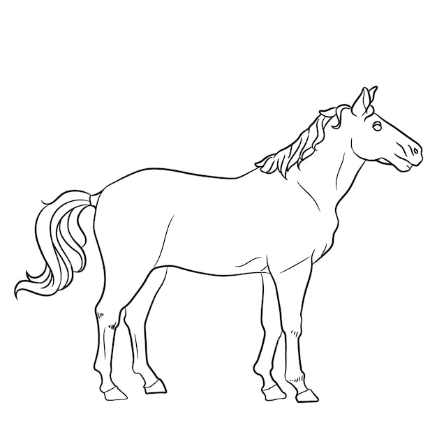 Hand drawn horse outline illustration