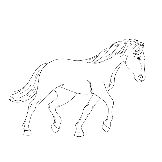 Hand drawn horse outline illustration