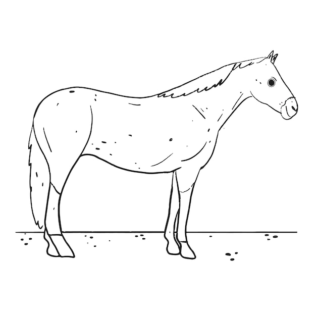 Hand drawn horse outline illustration