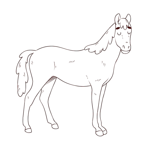 Hand drawn horse outline illustration