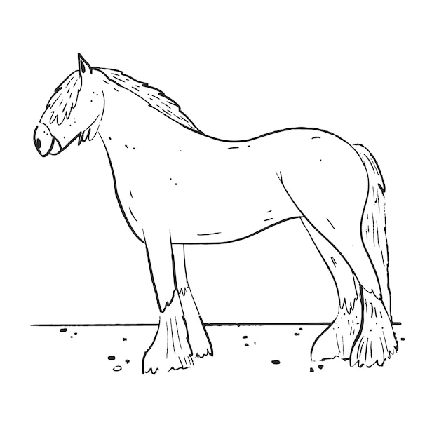 Hand drawn horse outline illustration