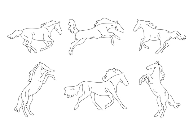 Hand drawn horse outline