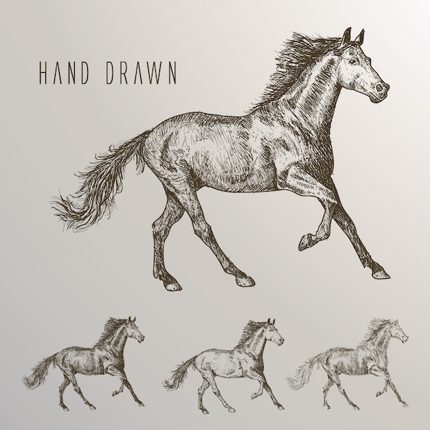 Hand drawn horses collection