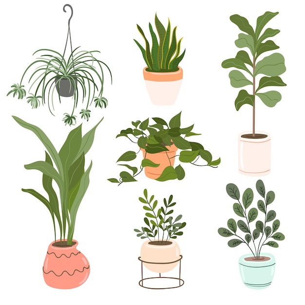 Free Vector hand drawn houseplant collection