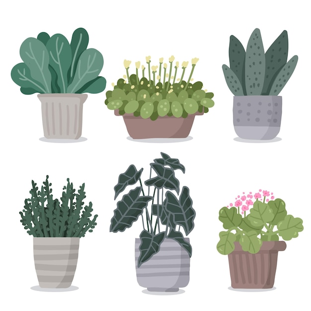 Free Vector hand drawn houseplant collection