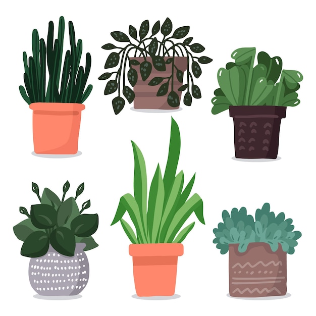 Free Vector hand drawn houseplant collection