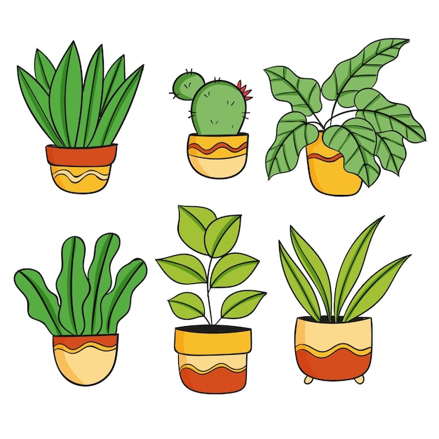 Hand drawn houseplant collection