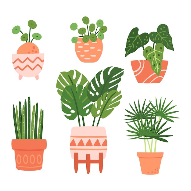 Hand drawn houseplant collection